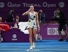 科维托娃新星反败为胜表现突出,热火前途光明!